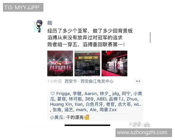 职业联赛分析TES战队意识表现及其对比赛结果的影响